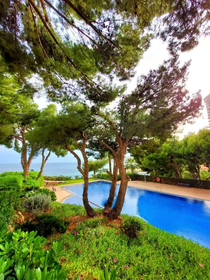 Vistas Al Mar Poniente Beach 貝尼多姆 外观 照片